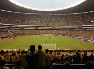 尼潘成阿森,纳等队目标,球队详述未,大发彩票官方网站,大发彩票团队,大发彩票,大发彩票体育集团,大发彩票赛事平台,大发彩票直播公司