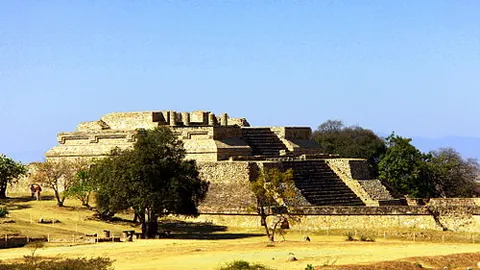 国米与法甲天才兽妖签订转会合约